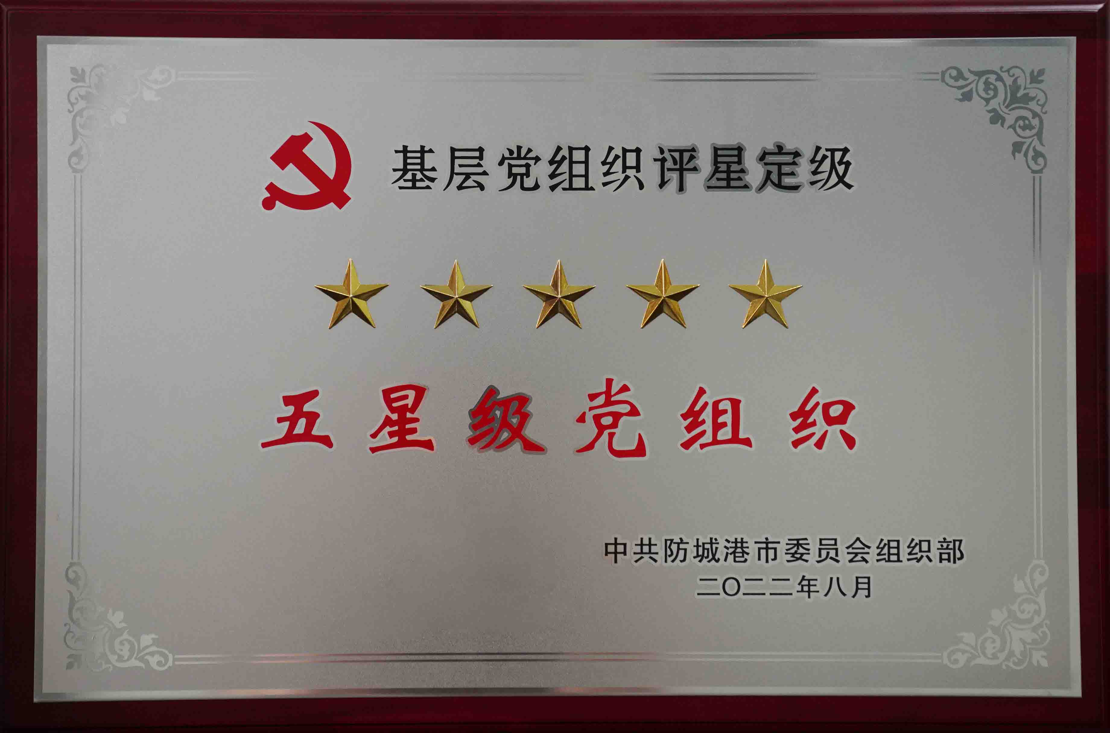 五星级党组织